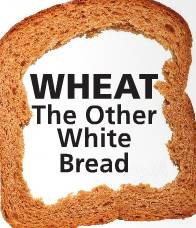 Wheat: The Other White Bread